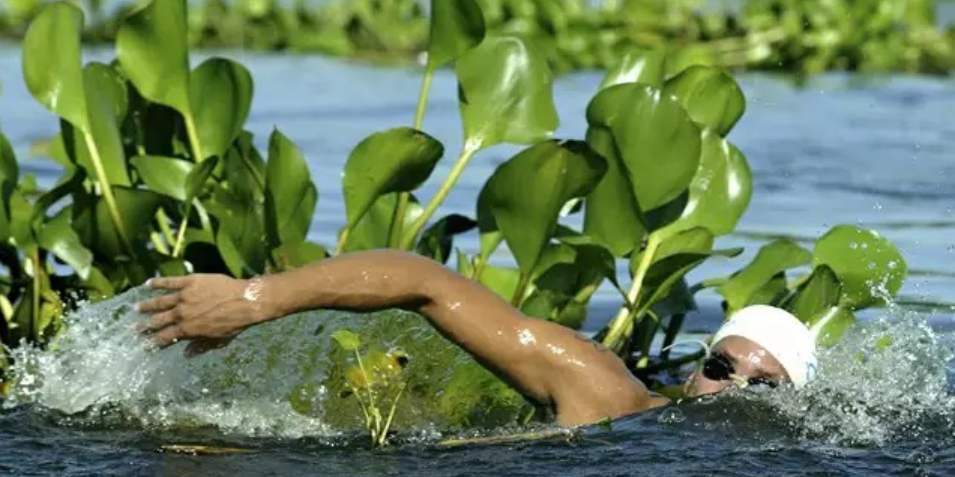 Banner da Maratona Aquática